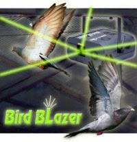 Bird Stop (Crisp Websites Limited) 375457 Image 7